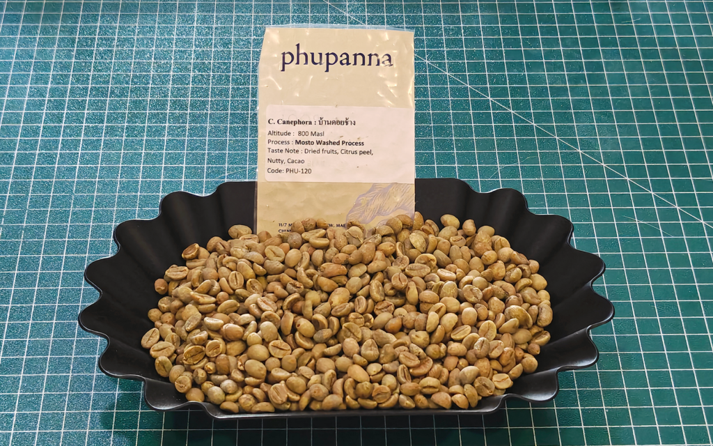 C.Canephora - PHU-120