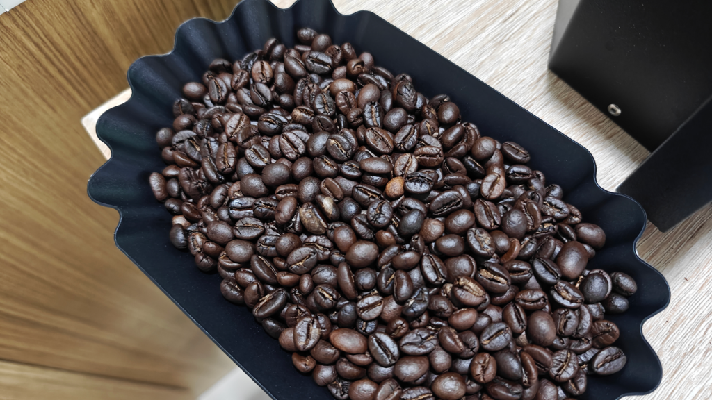 C.Canephora - PHU-120 First roast bean