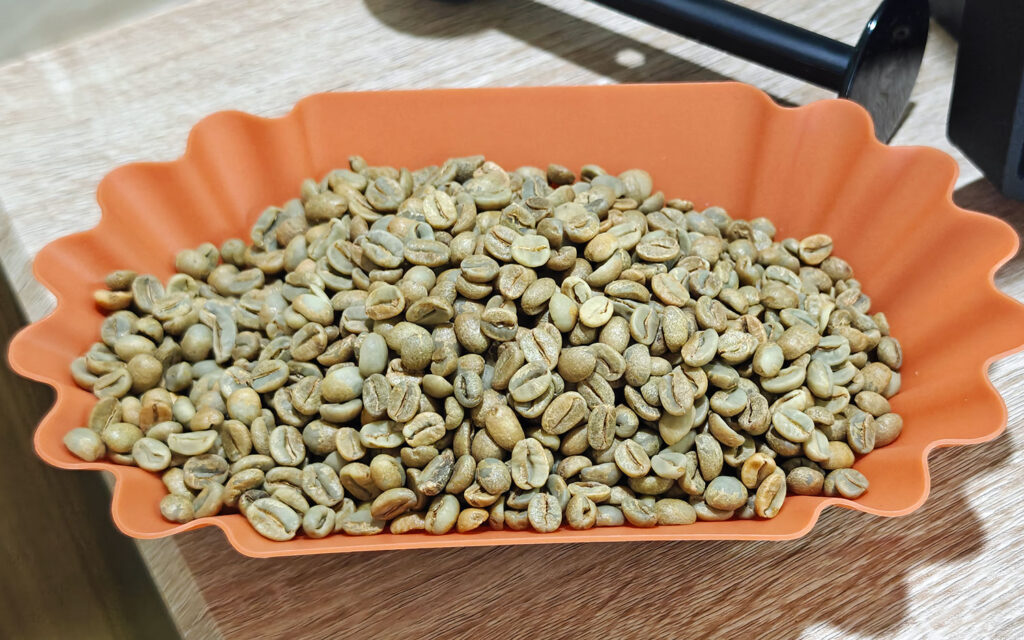 Phupanna-PHU-615 Green Bean