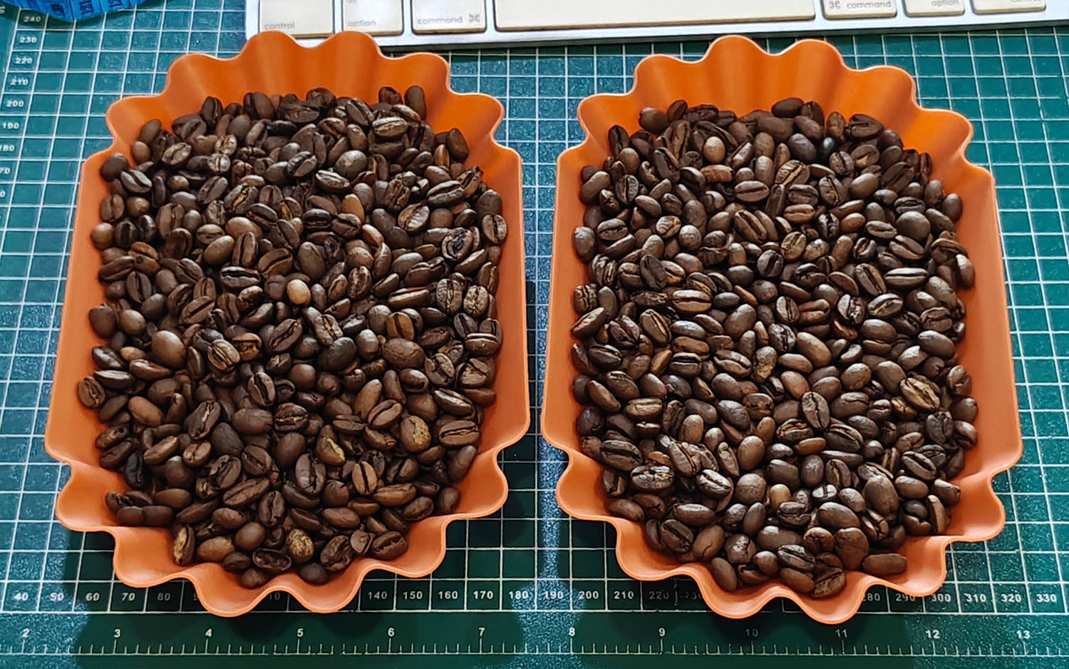 Vietnam Roasted Bean - Dark Roast