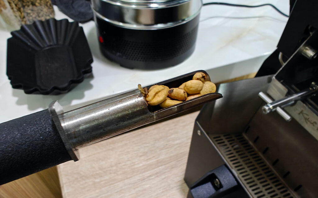 Vietnam Roasted Bean - Checking DE