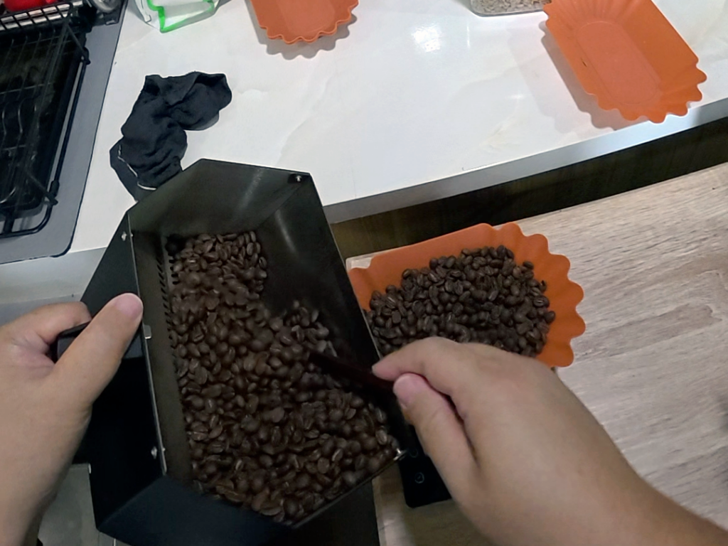 Brazil Santos Bean Measure