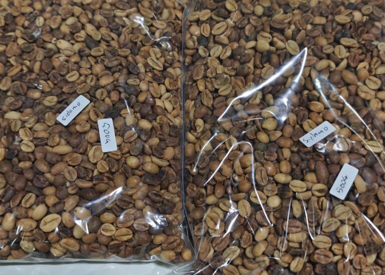 Ethiopia Sidamo Green Bean